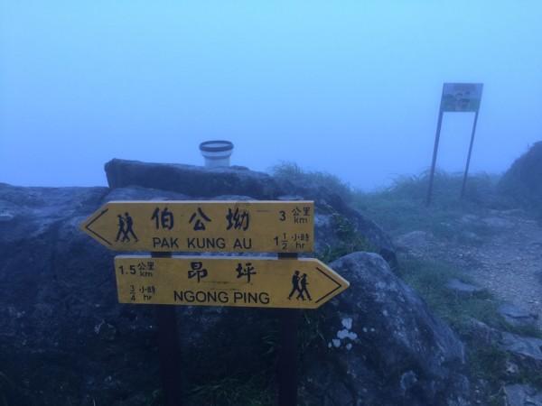 美丽乡村别墅逃生